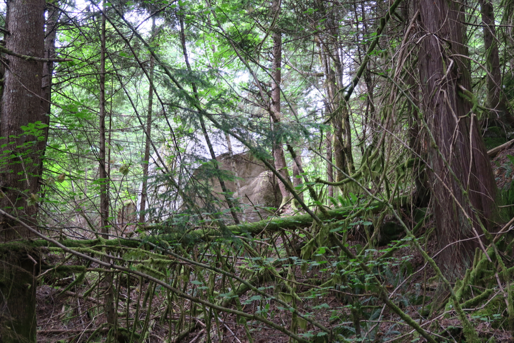 Intoxication Boulder